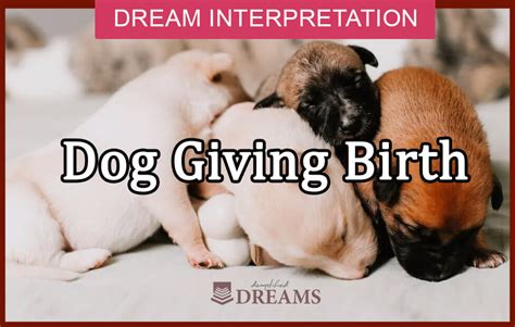 What Your Dream of a Canine Giving Birth Unveils About Your Personal Life and Relationships