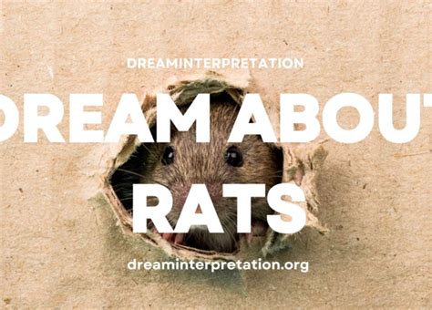 White Rats as Dream Messengers: Decoding Their Hidden Messages