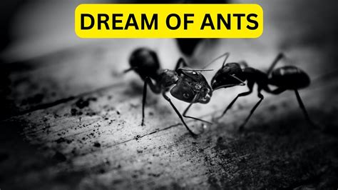 Why Do We Dream of Ants in Motion?