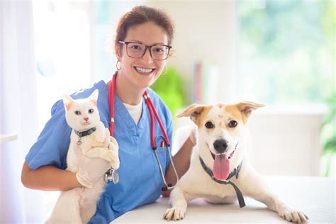 Why Regular Check-ups are Vital for Your Dog's Well-being