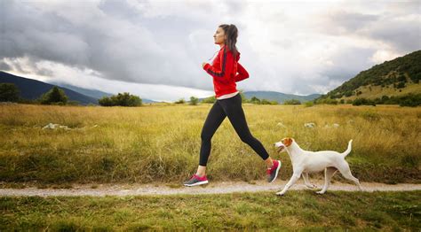 Why dog walking boosts fitness for both pets and owners