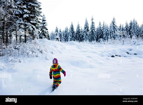 Winter Wonderland: Exploring the Delights of Snow