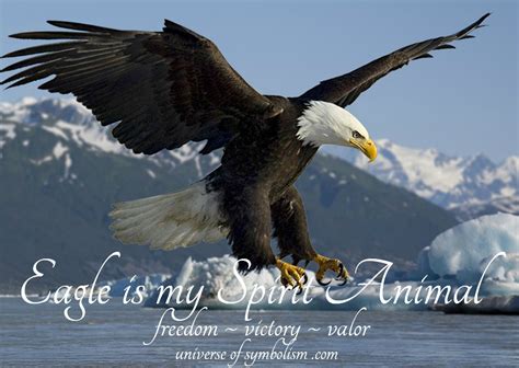 Wisdom and Guidance: The Symbolic Power of Eagle Feathers in Dreams