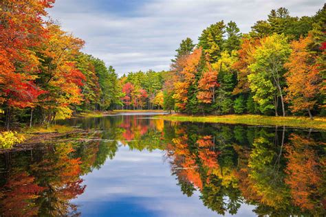 Witnessing Nature's Spectacular Colors: A Journey through Fall Foliage