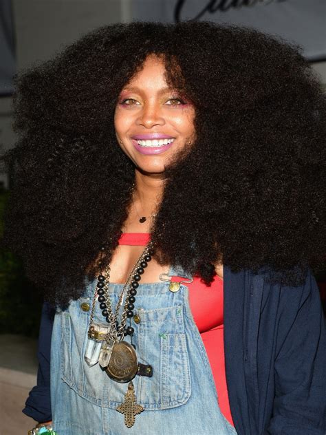 Years and Stature of Erykah Badu