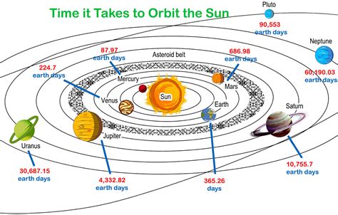 Years on Earth: How many revolutions around the sun has this individual completed?